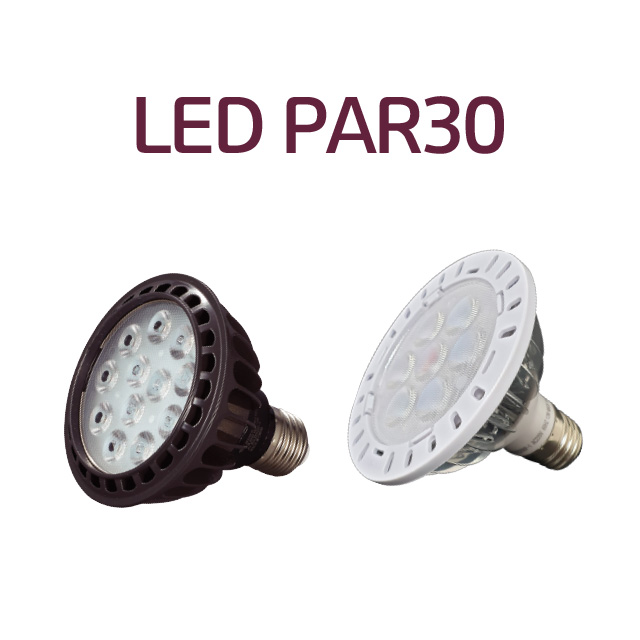 KS인증 진성전자 LED PAR30 12W 확산형 렌즈타입